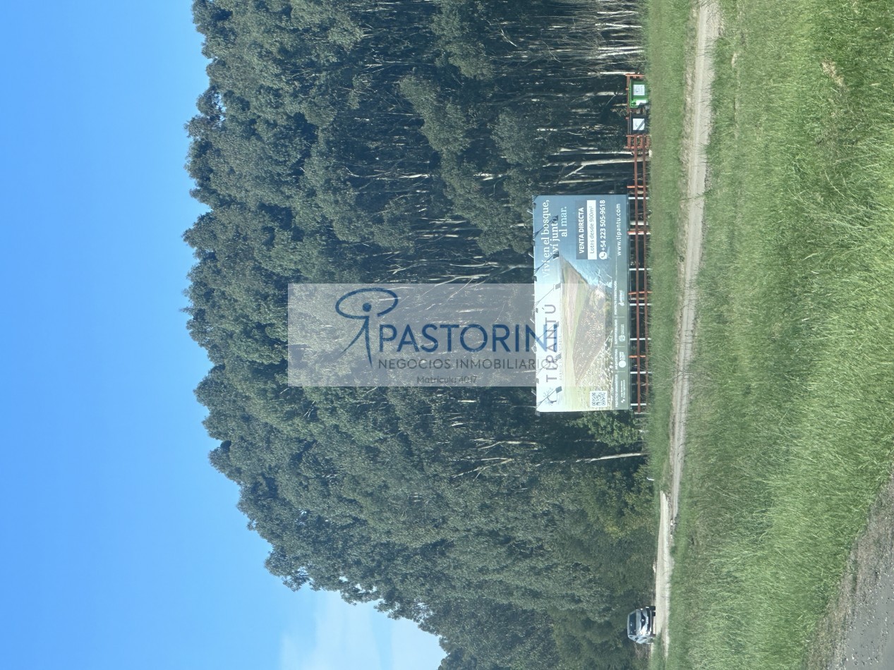 LOTE en TIPANTU
