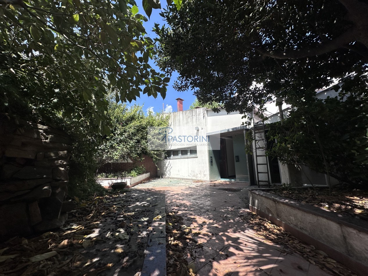 Importante local sobre Av. Constitucion 