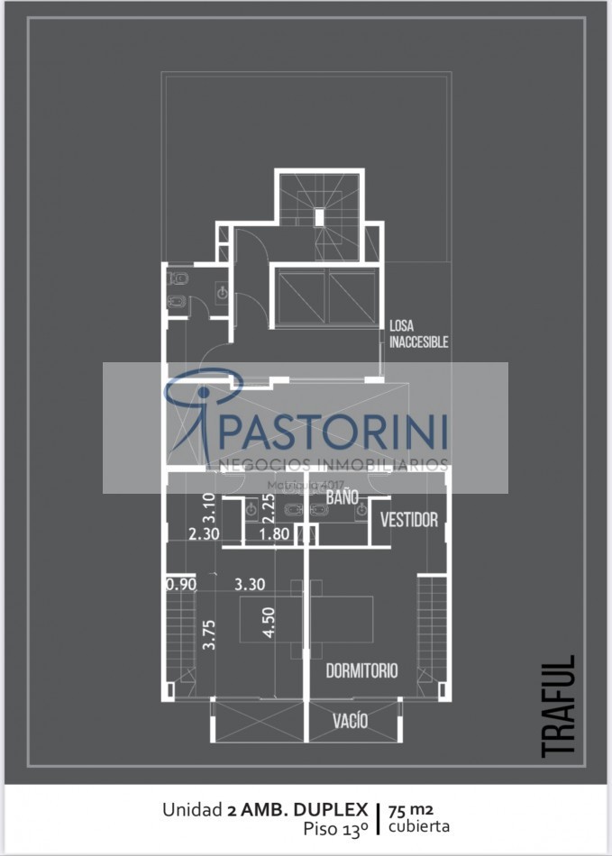 Moderno Departamento en Duplex en Plaza Mitre con COCH y baulera